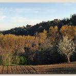 Primavera in campagna