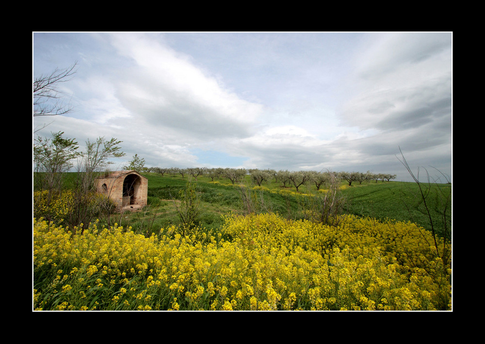 Primavera in Capitanata di mauro staiti 