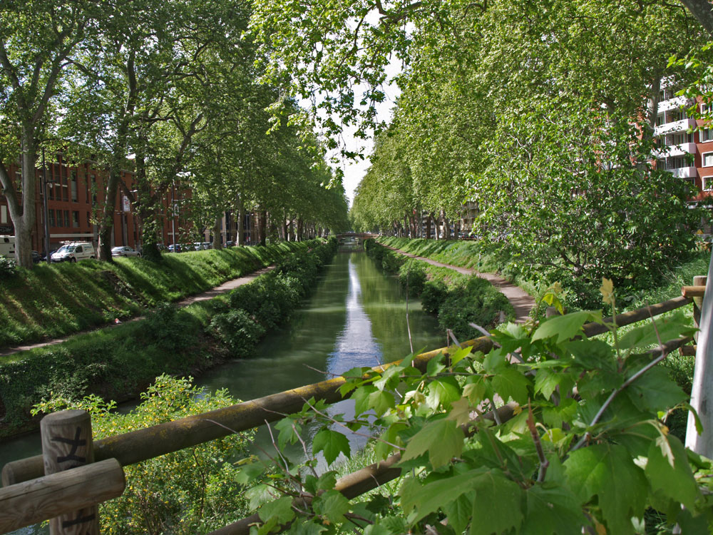 Primavera in città