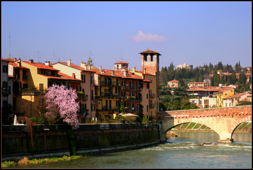 pRIMAVERA IN CITTà....