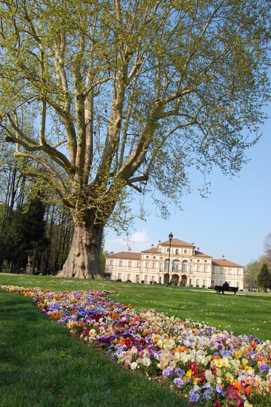 primavera in città