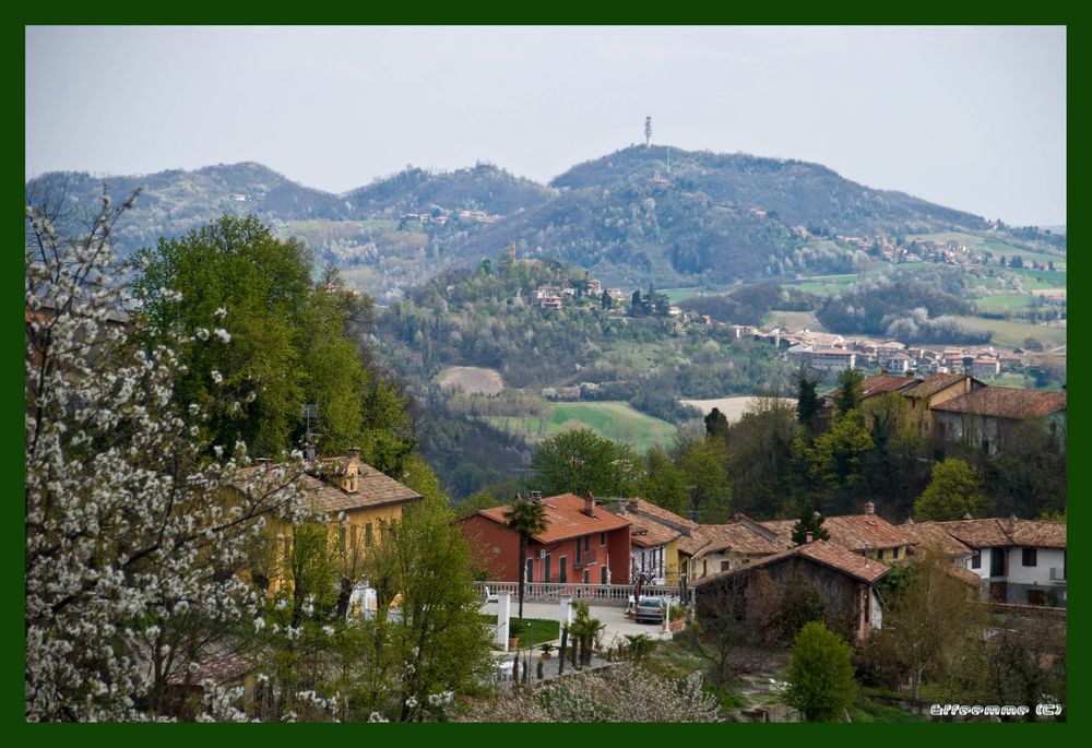 primavera in collina