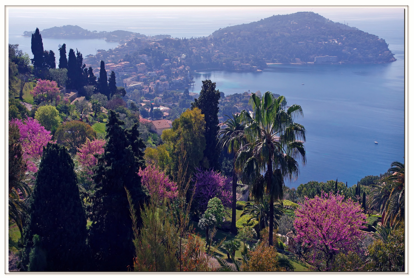 primavera in costa azzurra !