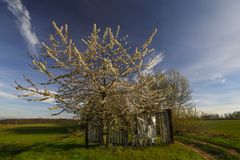 primavera in libertà