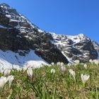 Primavera in montagna 2