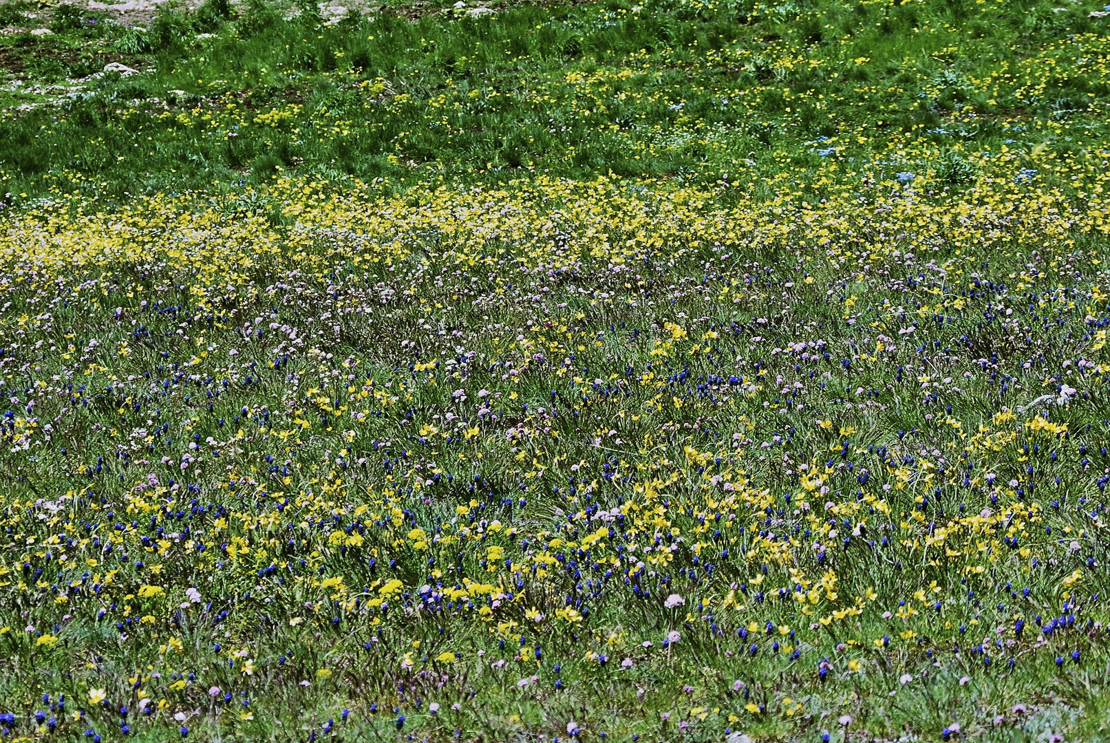 Primavera in montagna