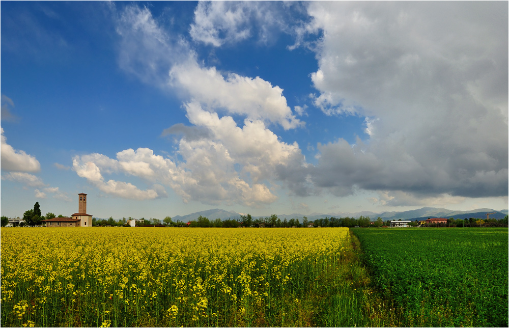 primavera in pianura