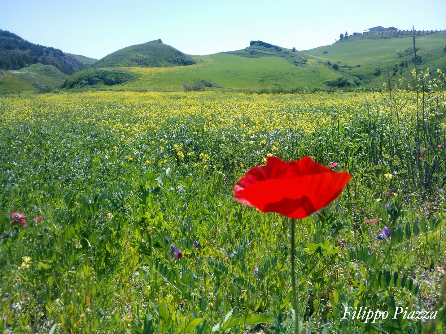 Primavera in Sicilia