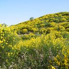 Primavera in Sicilia