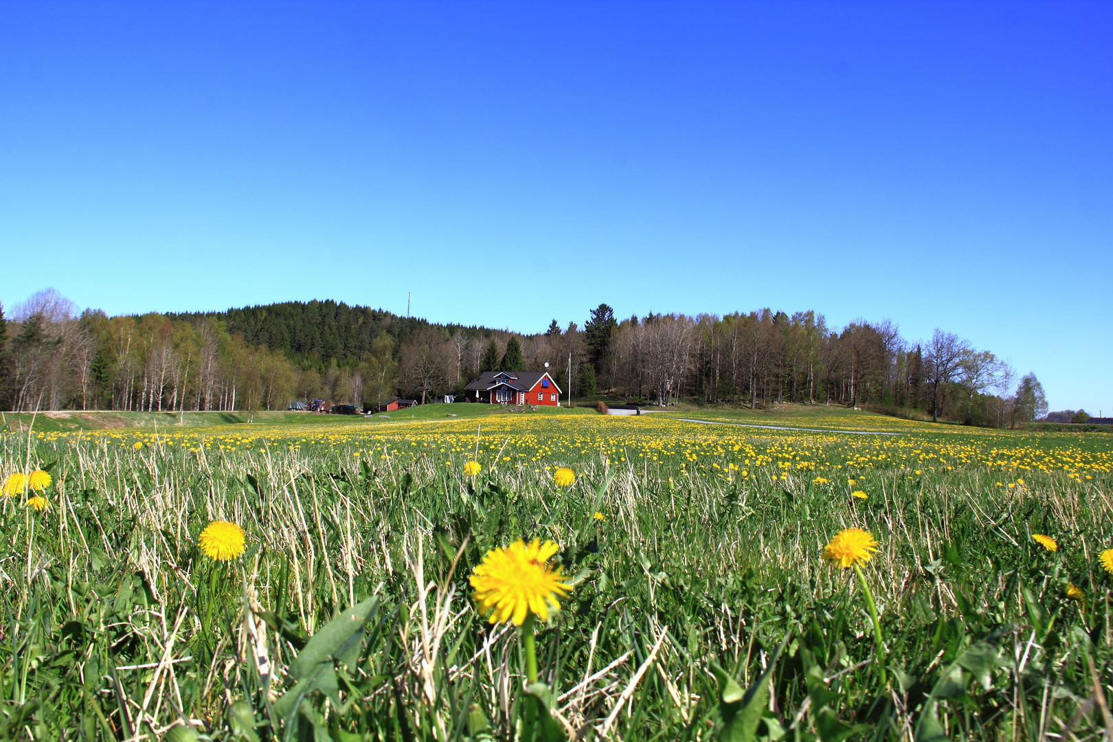 Primavera in Svezia