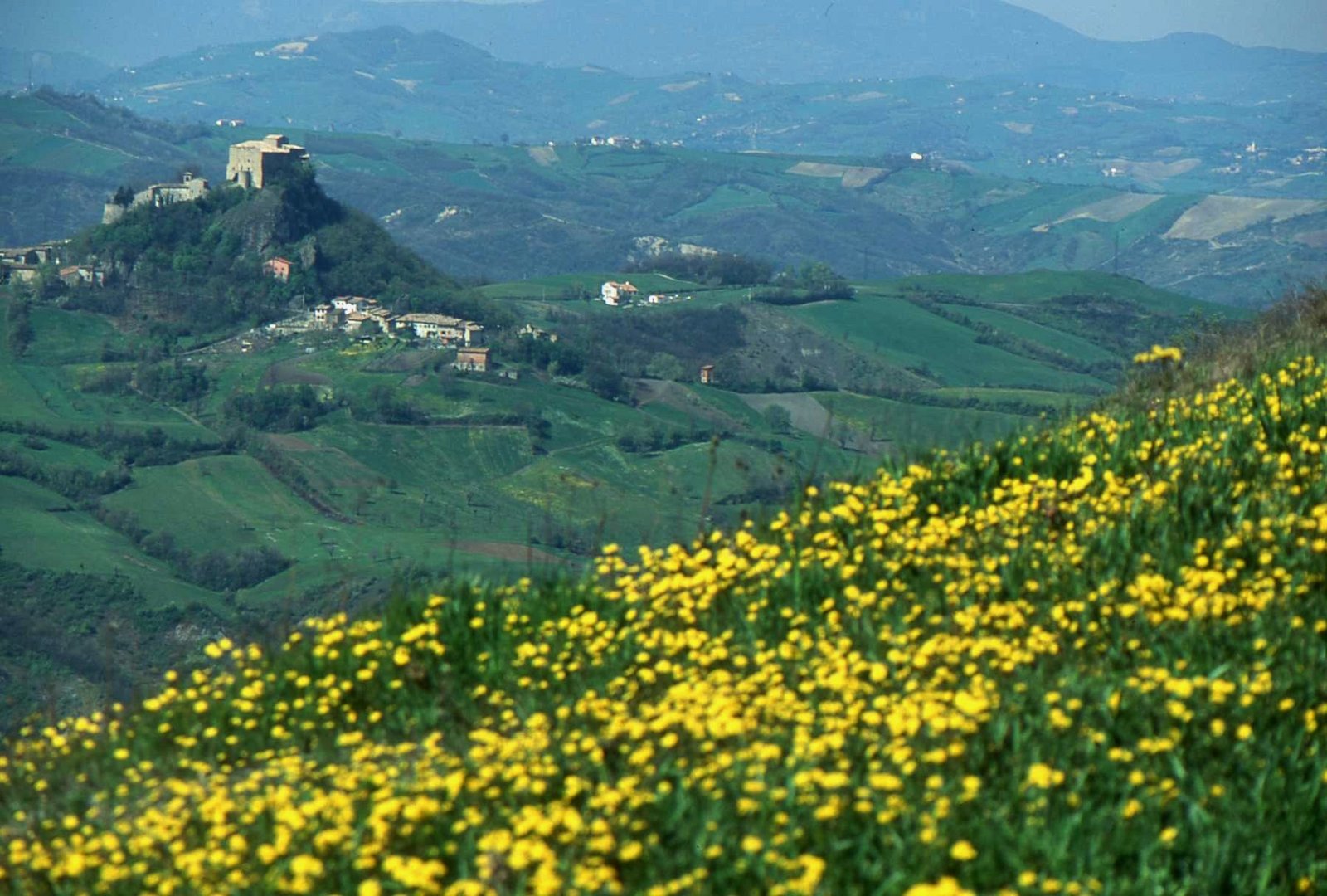 Primavera in terra Matildica