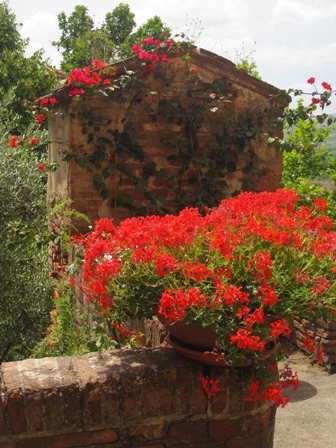 Primavera in Toscana nel borgo medievale di Certaldo Alto (Firenze) Toscana