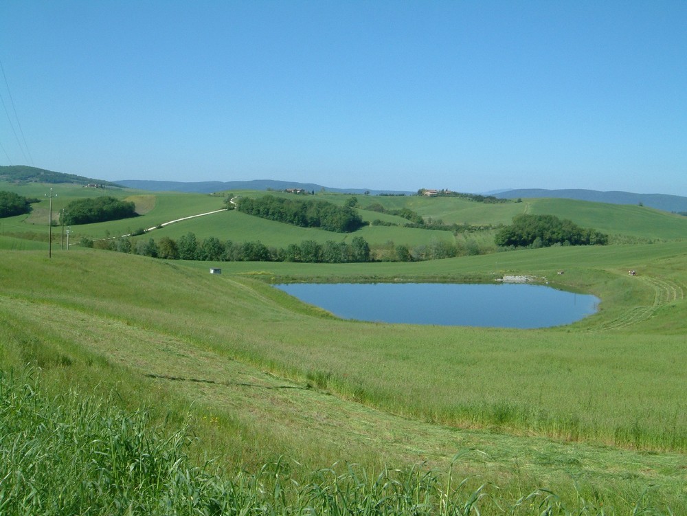 Primavera in val d'Arbia (SI)