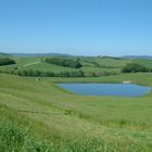 Primavera in val d'Arbia (SI)