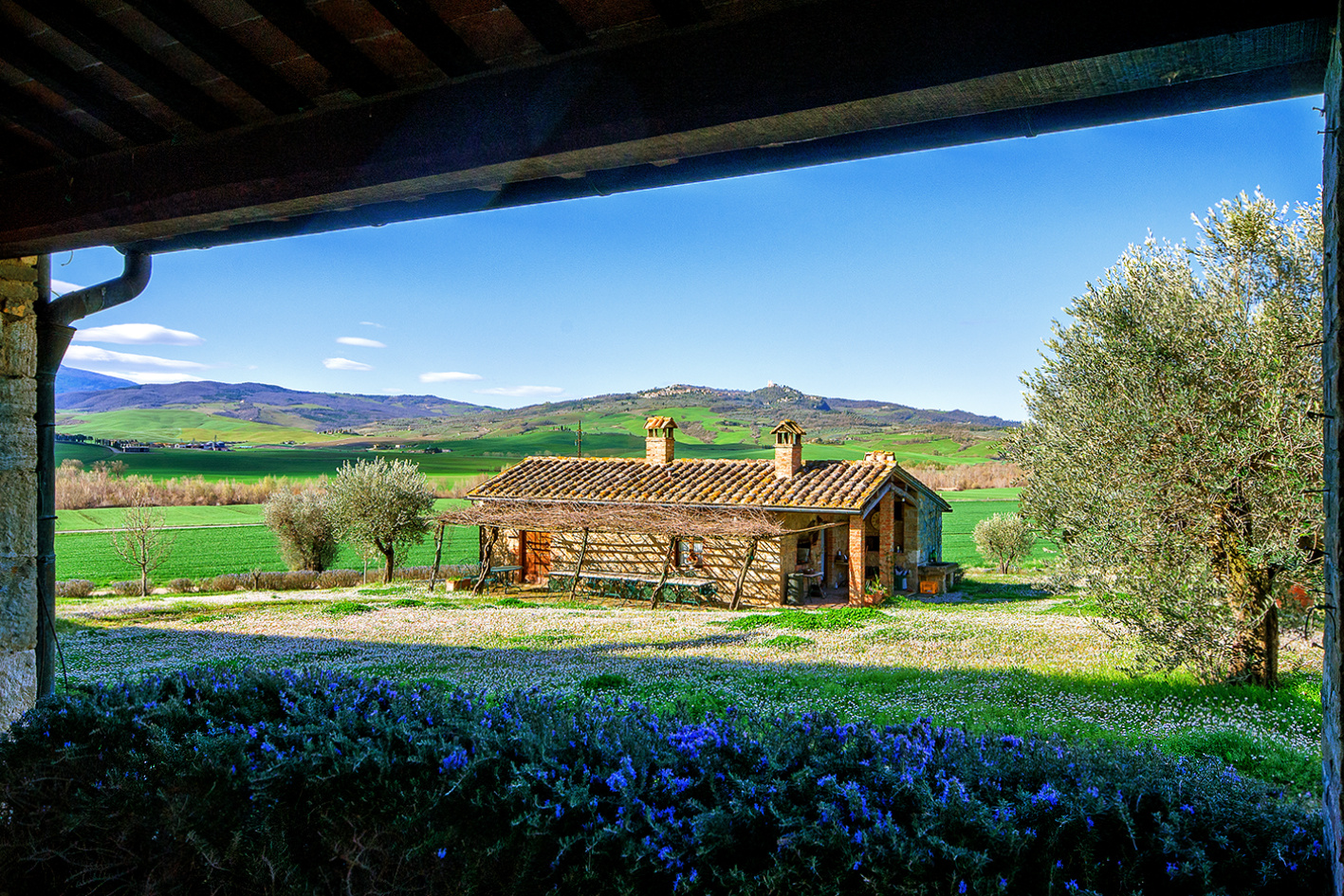 Primavera in val d'Orcia