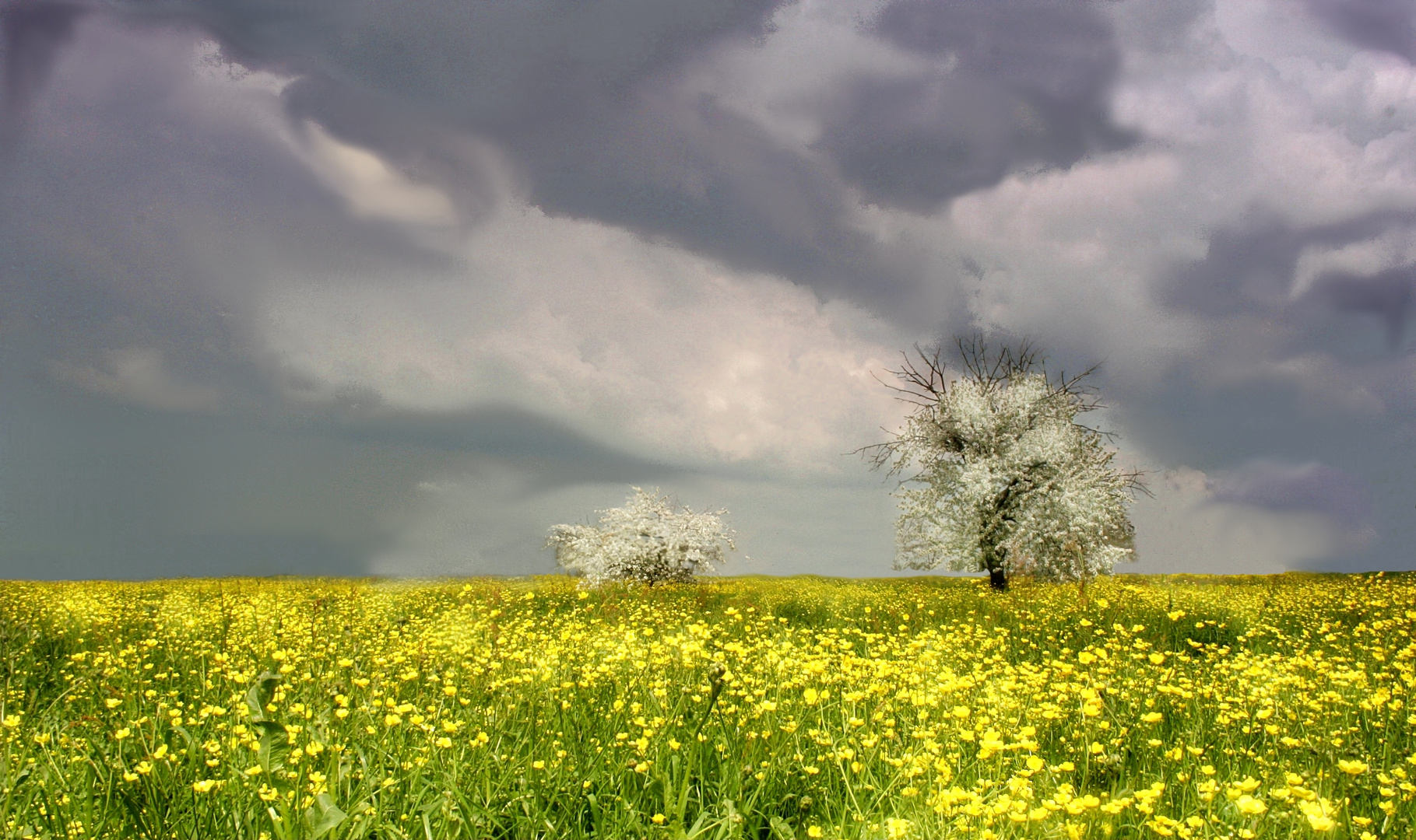 primavera -le quattro stagioni