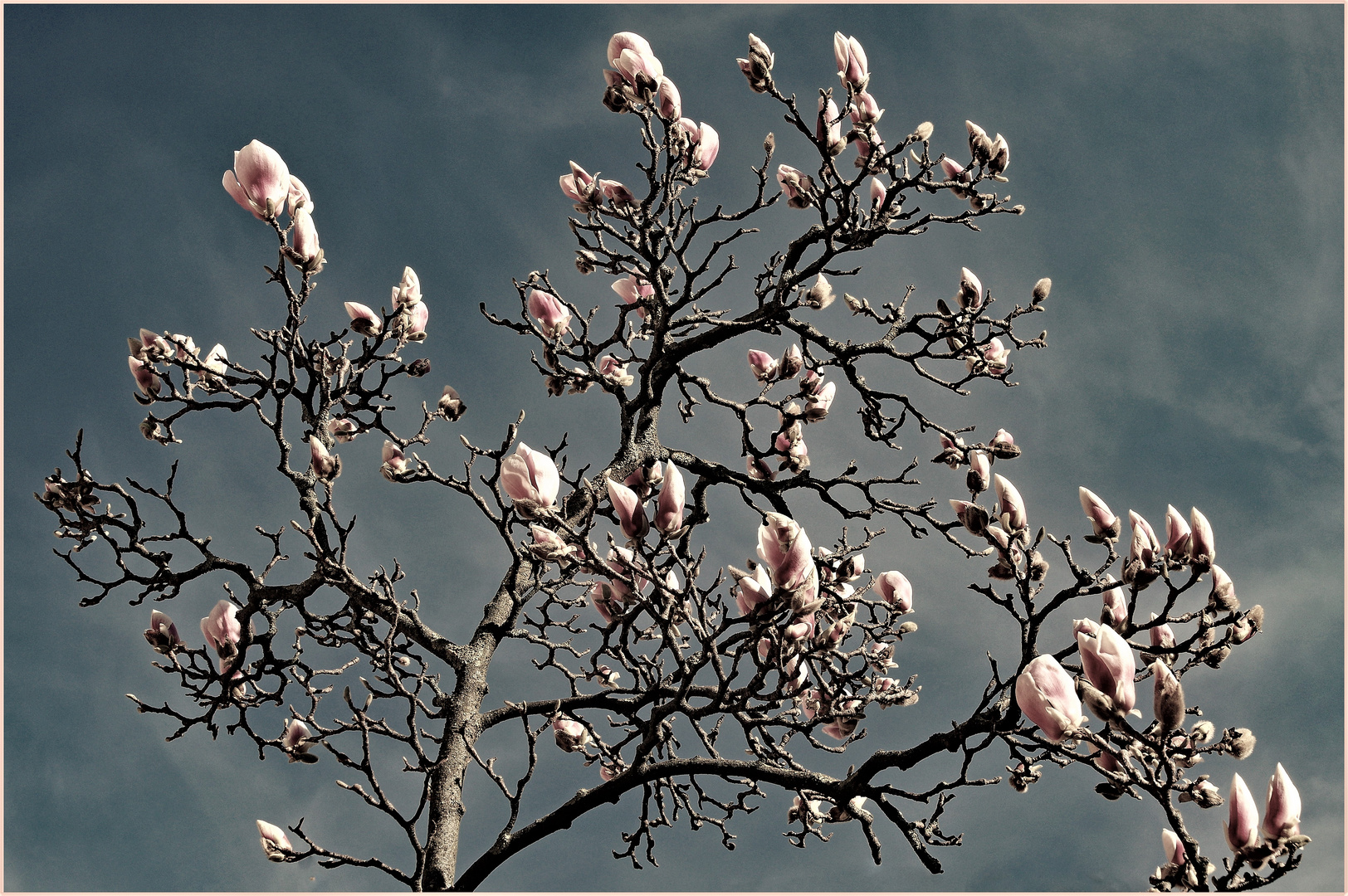 primavera meteorologica....