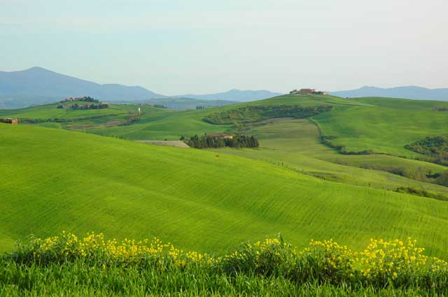 primavera nel senese 3