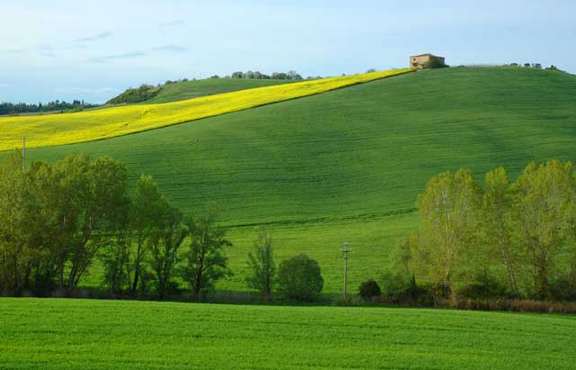 primavera nel senese