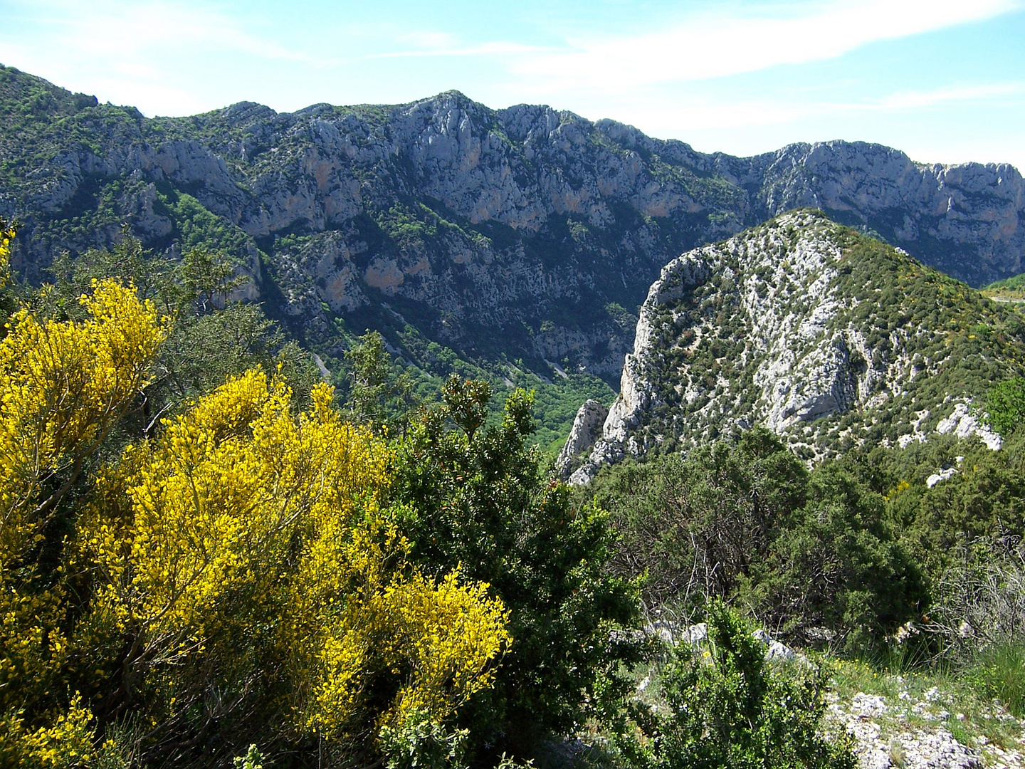 Primavera nelle gole del Verdon, in Provenza