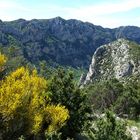 Primavera nelle gole del Verdon, in Provenza