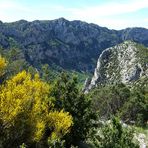 Primavera nelle gole del Verdon, in Provenza