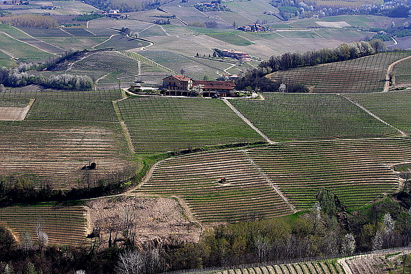 Primavera nelle Langhe