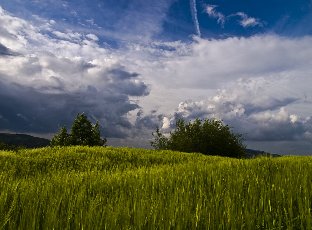 Primavera romagnola