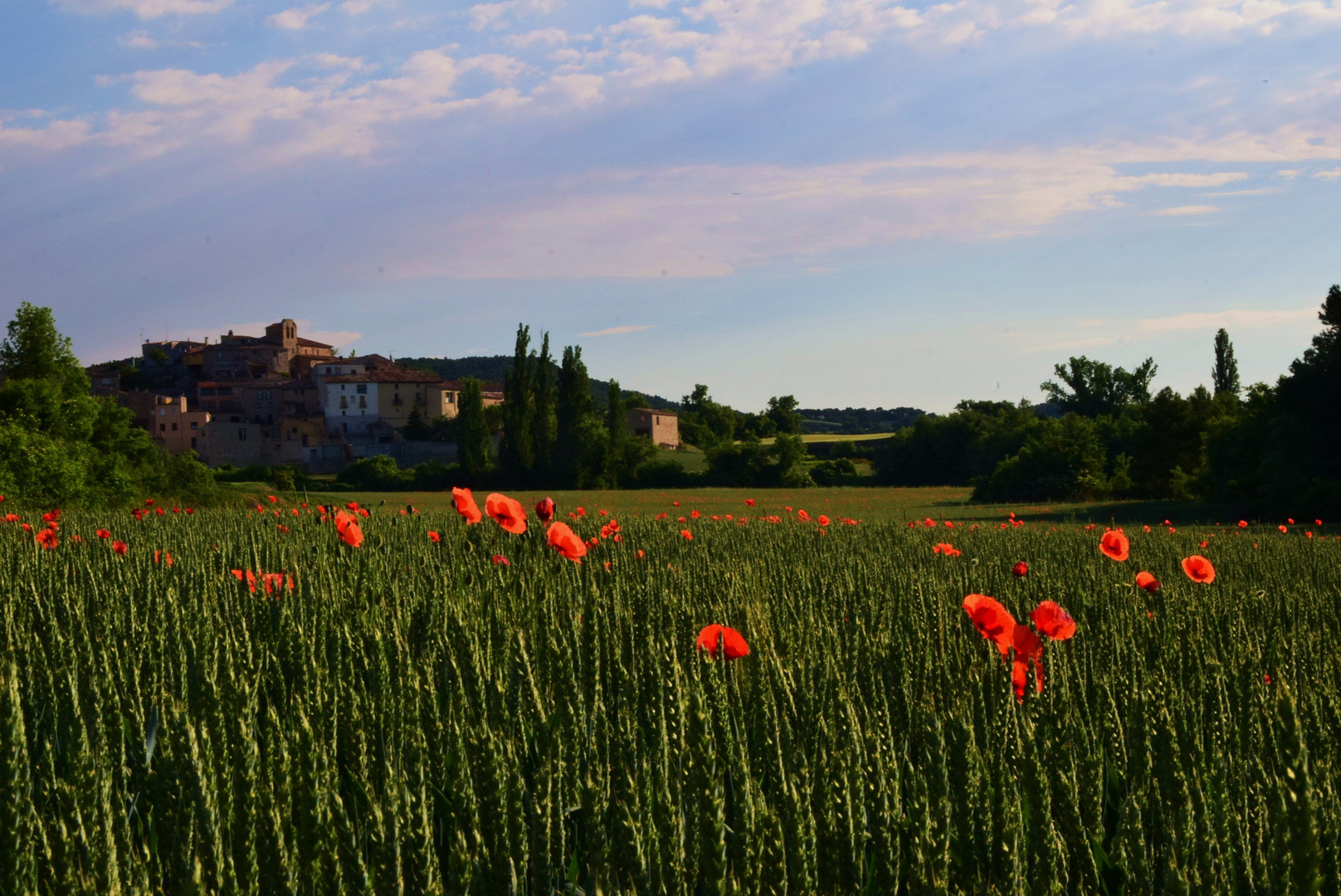 PRIMAVERA. SPRING