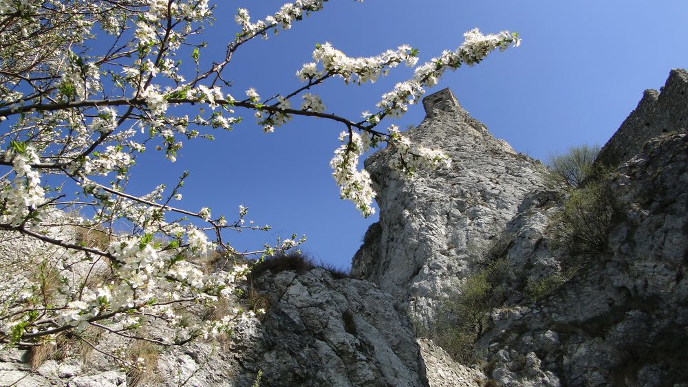 Primavera sul castello