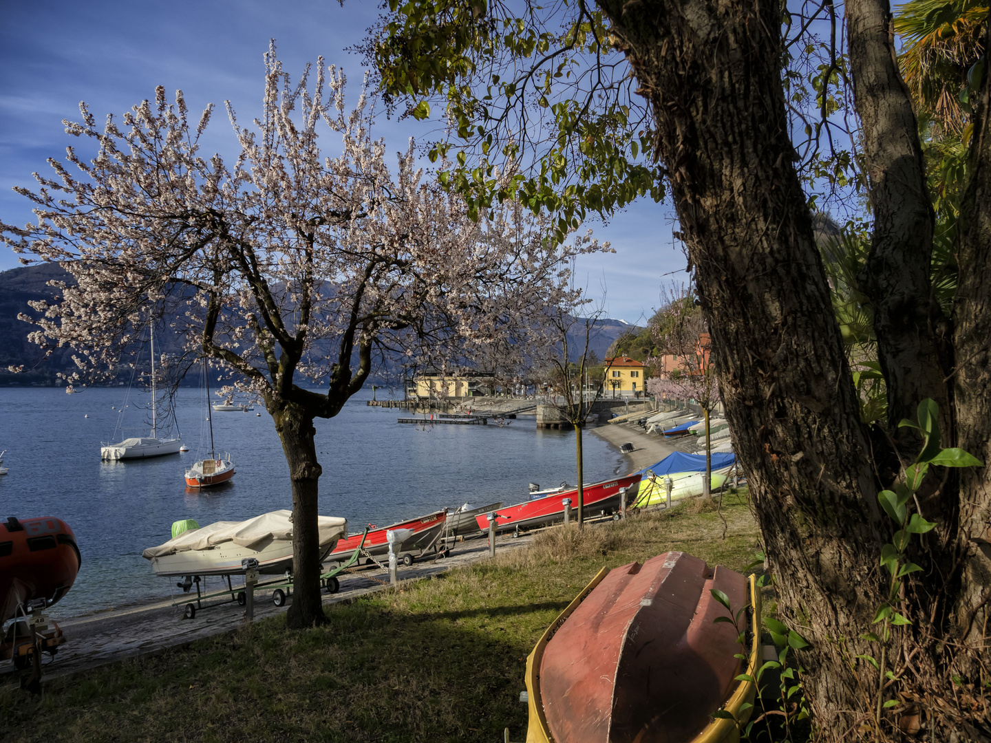 Primavera sul lungolago