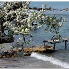 Primavera sul mare....