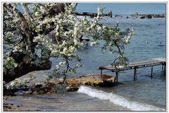 Primavera sul mare....