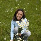 Primavera Tibetana