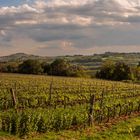 Primavera toscana