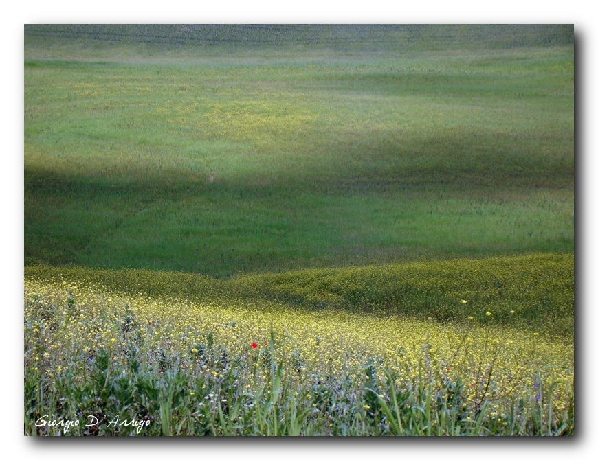 primavera toscana