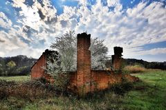 primavera tra i ruderi