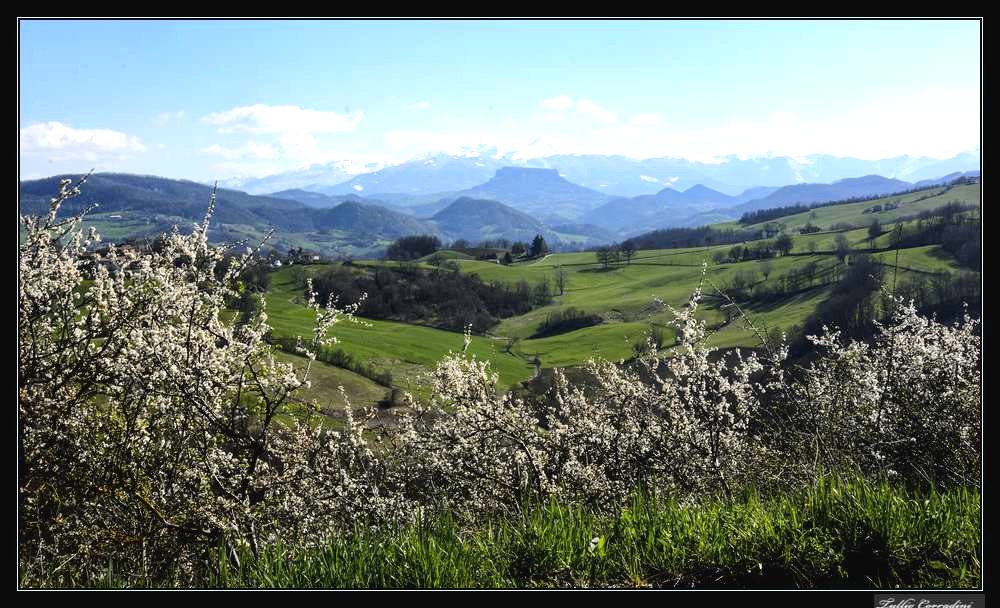 ..primavera..in arrivo..