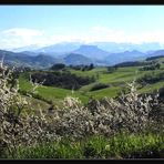 ..primavera..in arrivo..