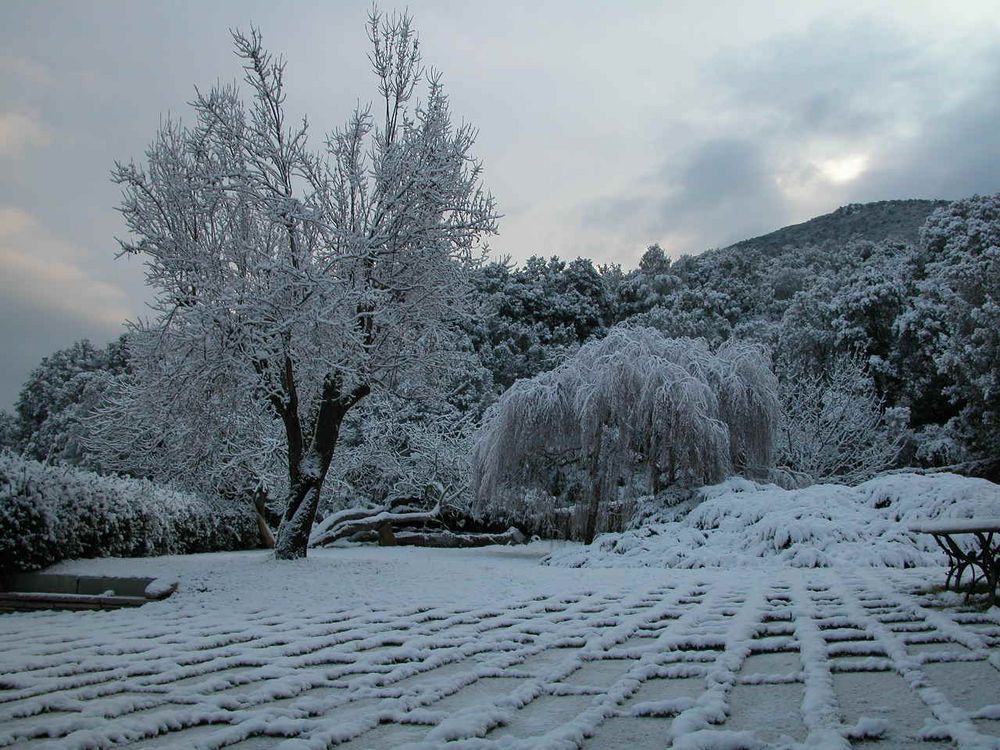 Prime luci dell'alba.