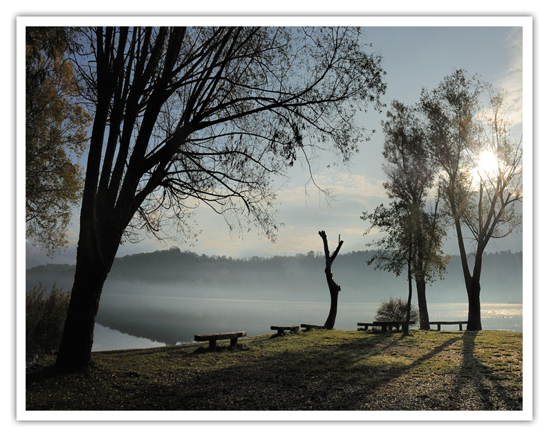 Prime Luci Sul Lago di Alserio