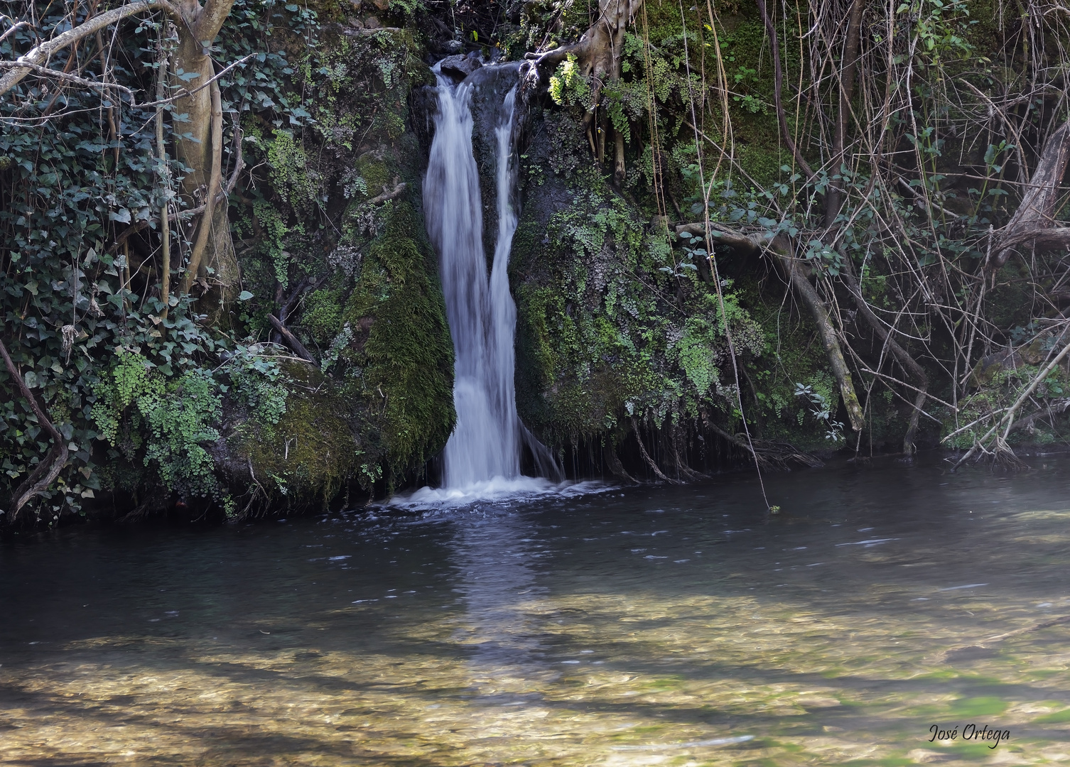 Primer venero (Arroyo del Bejarano)