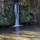 Primer venero (Arroyo del Bejarano)