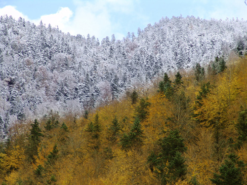 Primera Nevada Otoñal