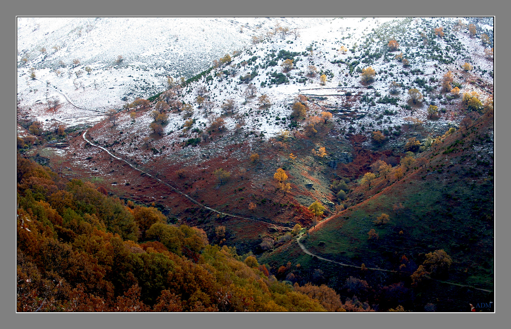 Primeras nieves 2010