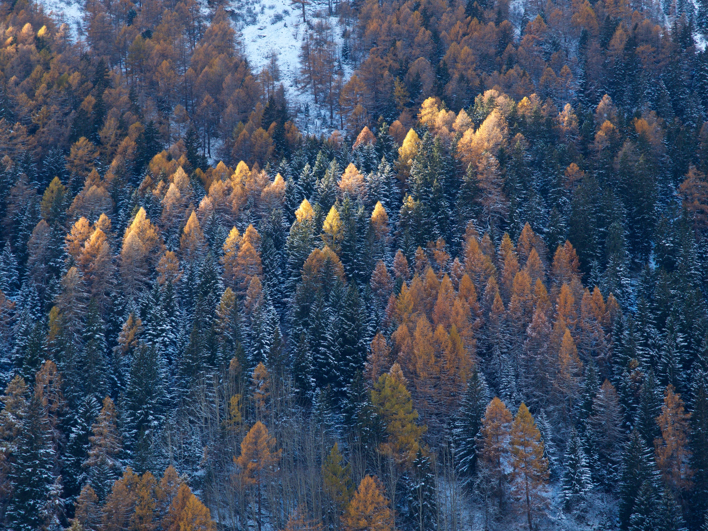 primi colori autunnali