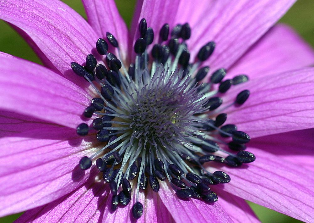 primi scorci di primavera