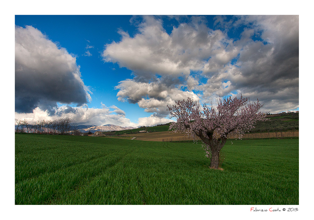 Primi scorci primaverili