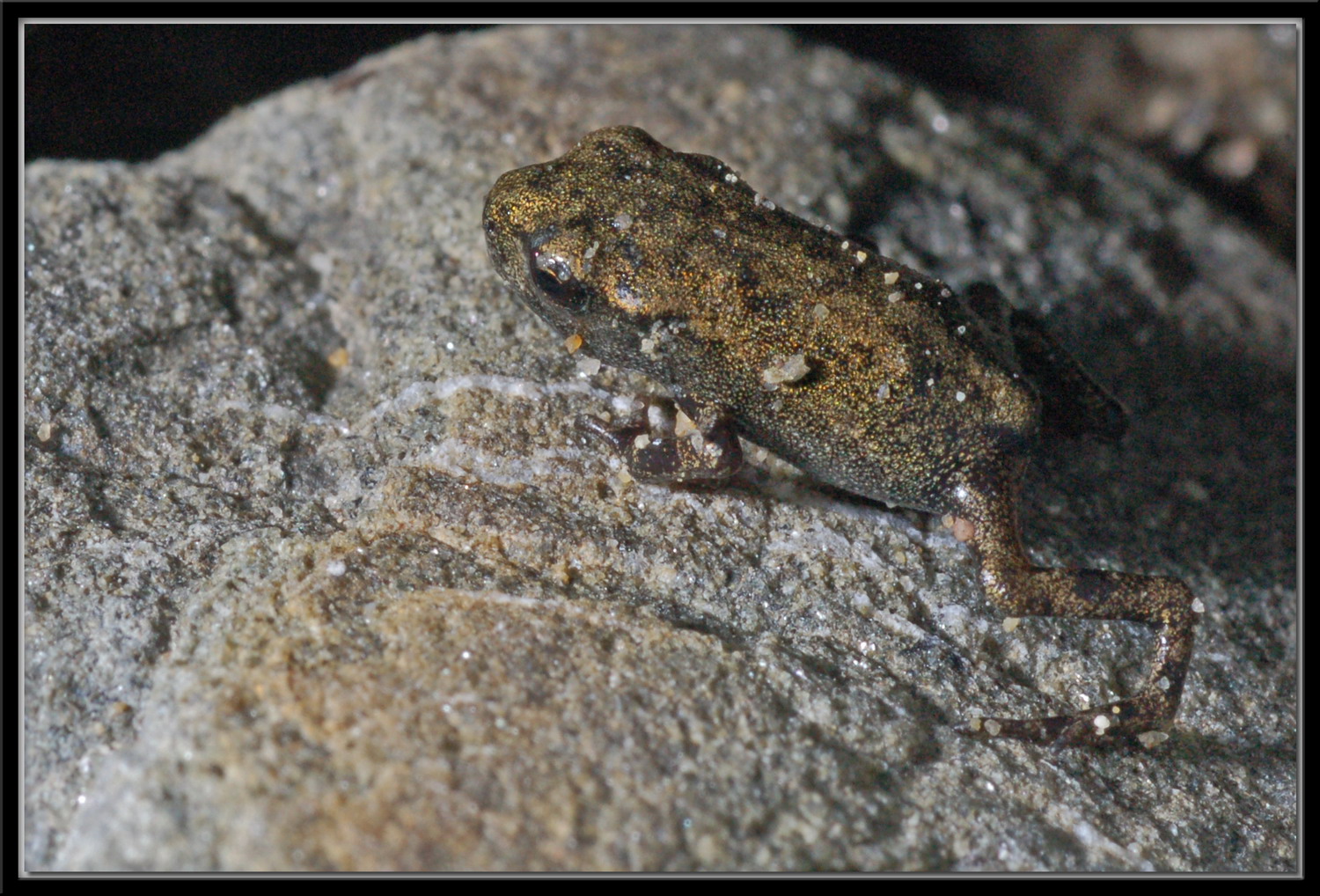 PRIMISSIMA USCITA DALL'ACQUA