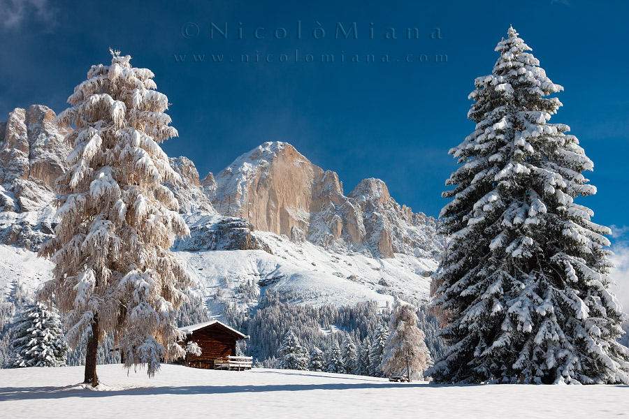 Primo anticipo di inverno